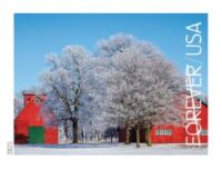 Winter Landscapes